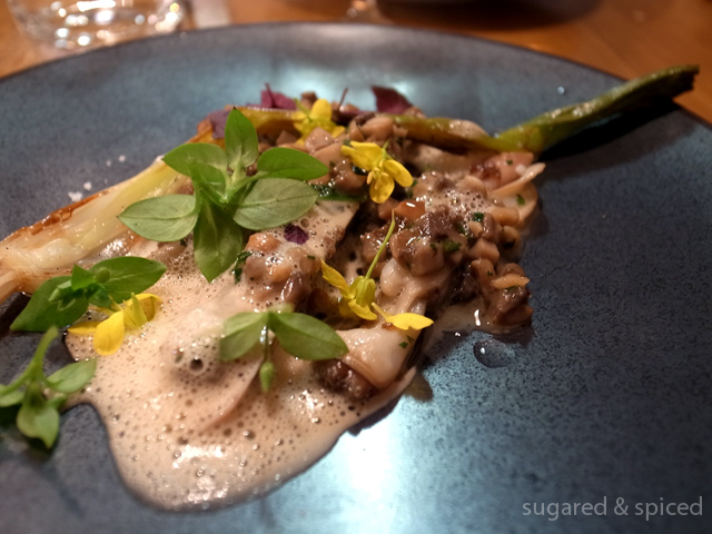 sugared & spiced - paris abri