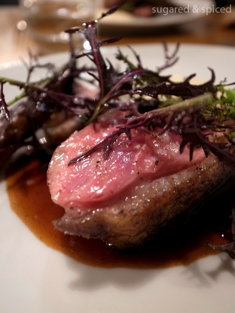 sugared & spiced - paris abri