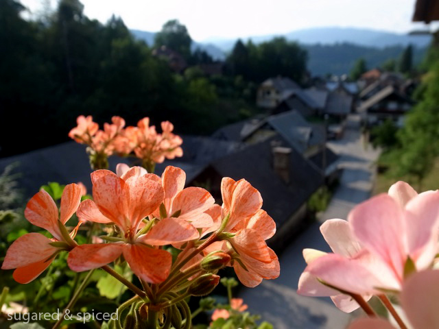 sugared & spiced - slovenia bled