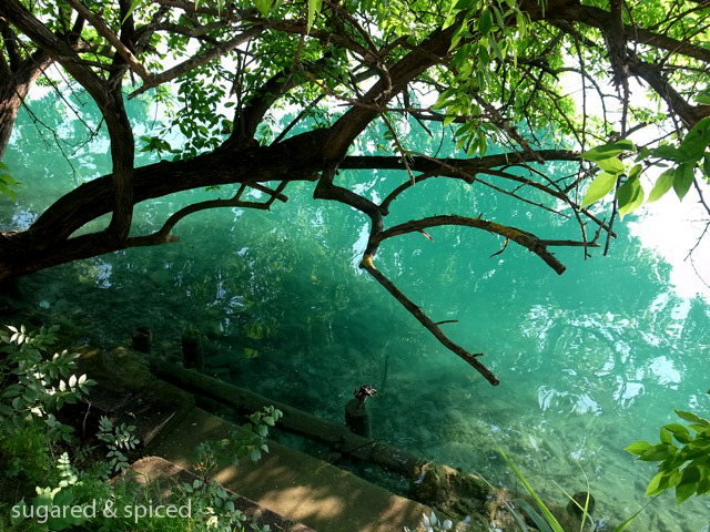 sugared & spiced - slovenia bled