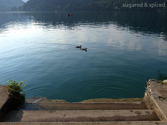 sugared & spiced - slovenia bled