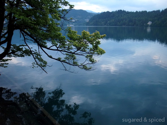 sugared & spiced - slovenia bled