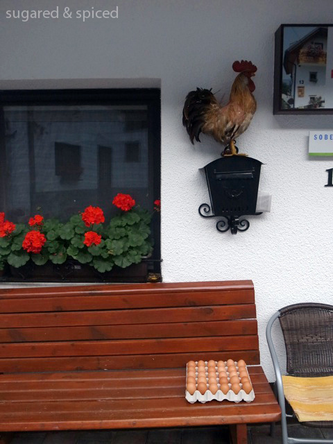 sugared & spiced - slovenia bled