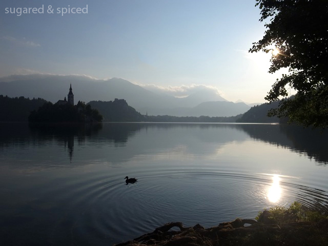 sugared & spiced - slovenia bled