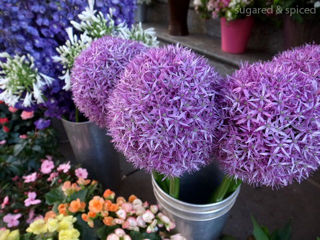 sugared & spiced - vienna snapshots