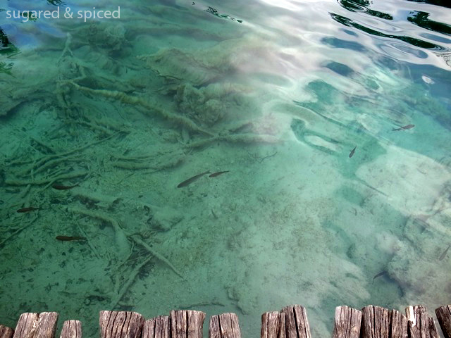 sugared & spiced - croatia plitvice lakes national park