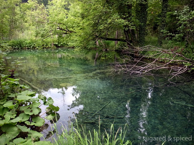 sugared & spiced - croatia plitvice lakes national park