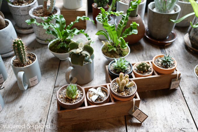Tokyo CASICA 東京 カシカ