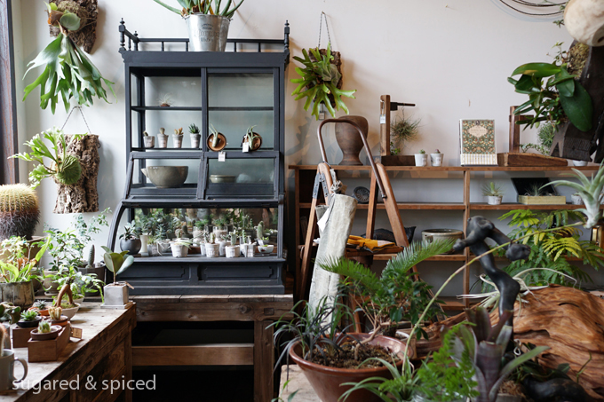 Tokyo CASICA 東京 カシカ